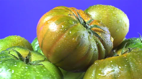 Raf Tomatoes isolated rotating on purple background Видео 62413370