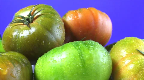 Raf Tomatoes isolated rotating on purple background Stock Footage 62413454