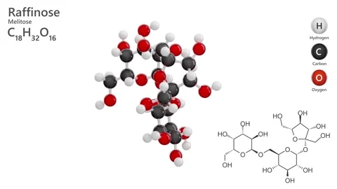 Raffinose. Trisaccharide. 3D model of a molecule. White background. 3D render Stock Footage 290383825