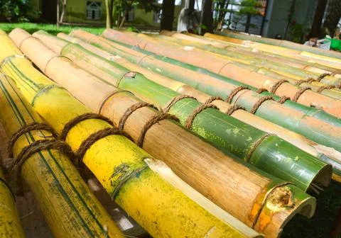 A raft of bamboo trunks. Stock Photos