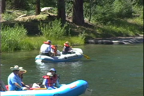 Rafters Leave Stock-Footage 819749