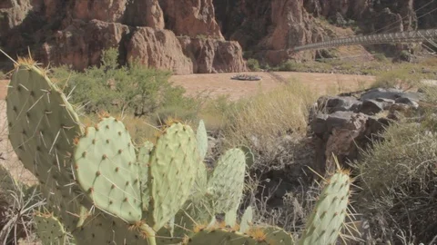 Rafting on the Colorado River Stock Footage 89554110