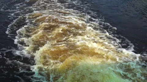 Rafting down the river on a motor ship Stock Footage 252741921