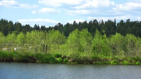Rafting down the river on a motor ship Stock Footage 252743227