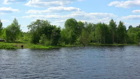 Rafting down the river on a motor ship Stock Footage 252743513