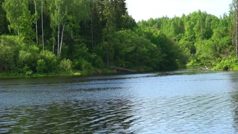 Rafting down the river on a motor ship Stock Footage 252744179