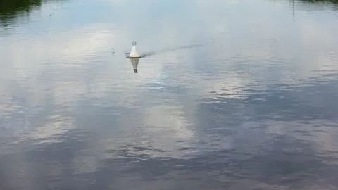 Rafting down the river on a motor ship Stock Footage 252745259