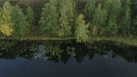 Rafting on the forest river on beautiful sunny summer days. Unique natural Video stock 161003653
