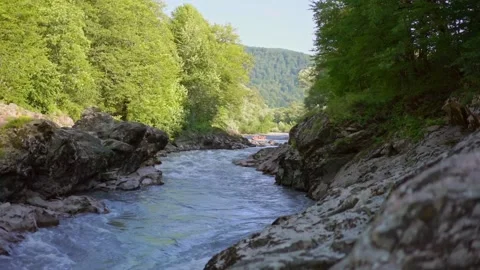 Rafting with a fun team on a mountain river Stock Footage 160605786