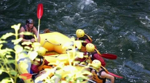 Rafting on the Kaituna River. View through the leaves. New Zealand Vídeos de archivo 45346774