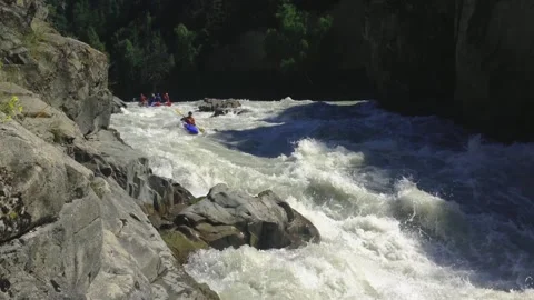 The rafting team descends the rough rapids in the mountain river with paddles. Stock-Footage 241025053
