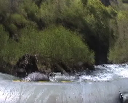 Rafting01 Stockbeeldmateriaal 1012886