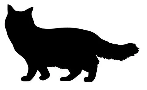 Rag Doll Cat Stock Illustration