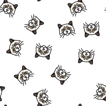 Ragdoll cat cute pet vector seamless pattern Illustrazione stock