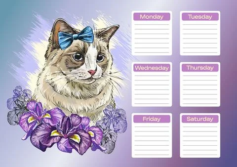 Ragdoll cat with flowers printable planner and school schedule vector Stock Illustration