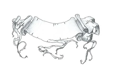 Ragged banner 库存插图