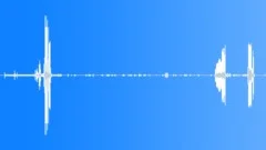 Raggiana Bird of ParadiseSound Effect