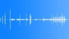 Raggiana Bird of ParadiseSound Effect