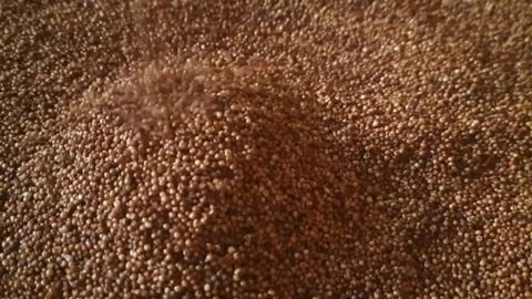 Ragi (Finger Millet) Grains Falling Creating Texture Close-Up Video stock 333829636