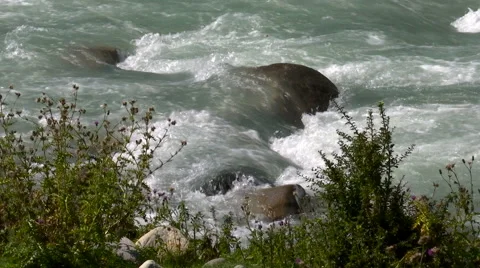 Raging clean fresh mountain river flowing between rocks in slow notion Stock Footage 54672806