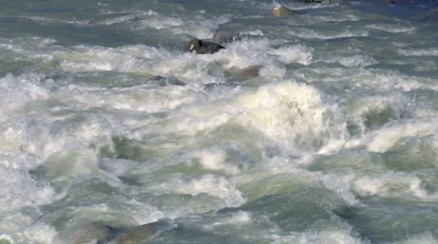 Raging clean fresh mountain river flowing between rocks in slow notion Stock Footage 54701772