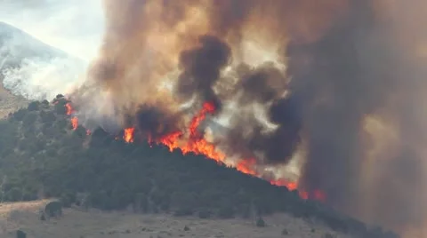 Raging Fire Burning Mountain Stock Footage 11256501