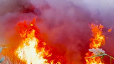 Raging fire devouring countryside, Emergency crews battling ferocious fire Stock Footage 313906555