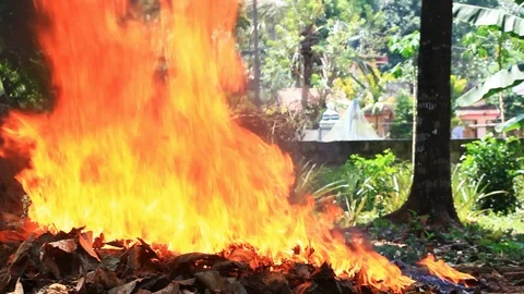 Raging Fire Stock Footage 88225424