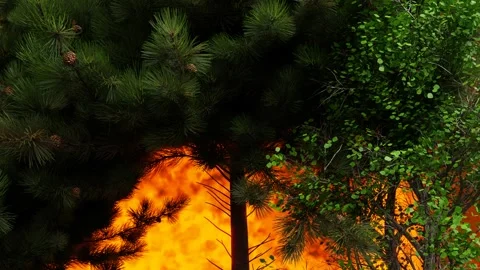Raging fire in the forest. 3D render. Stock Footage 159531390