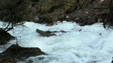 Raging flood river Reid Falls Skagway Alaska HD 7157 Stock Footage 24725693