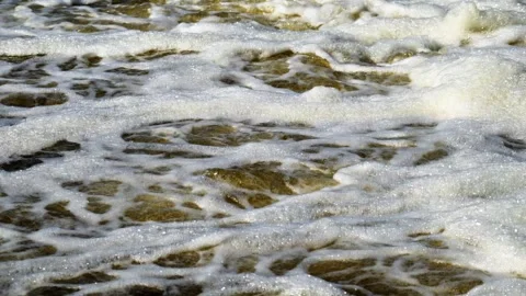 The raging flood water Stock Footage 241667933