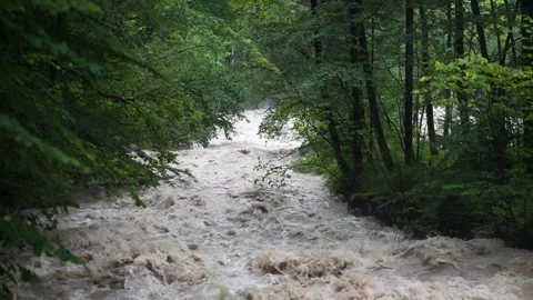 Raging Flood Waters in Forest River After Heavy Rain Stock Footage 314785540
