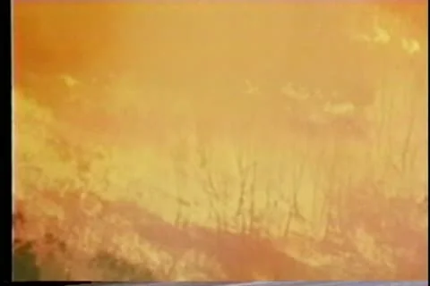 Raging forest fire Stock Footage 11345657