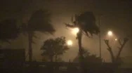 Raging Hurricane Eyewall Lashes Palm Trees Stock Footage