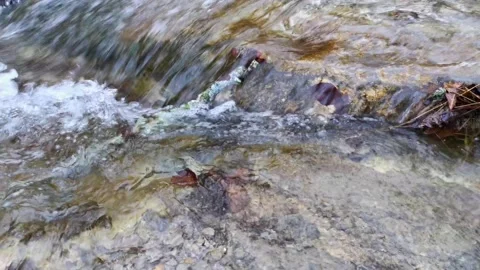 A raging mountain river in close-up Stock Footage 165301400