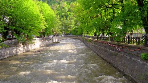 Raging mountain river flowing through borjomi central park Video stock 340888450