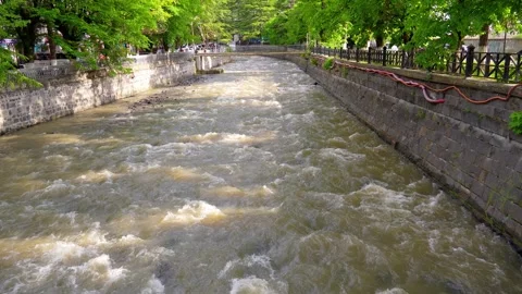 Raging mountain river flowing through borjomi central park 库存影片 340893047