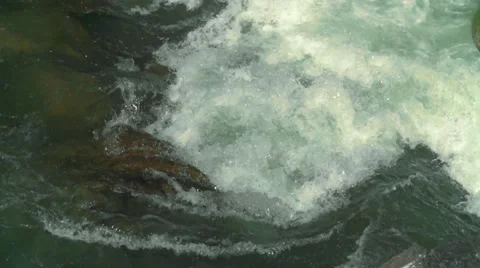 The raging mountain river flows on a canyon between stones Stock-Footage 55524882