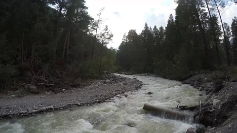 Raging mountain river flows through the forest Stock Footage 118600477