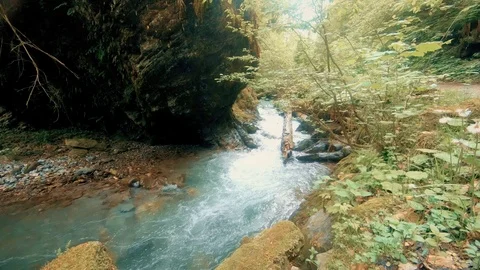 Raging mountain river Stock Footage 95172258