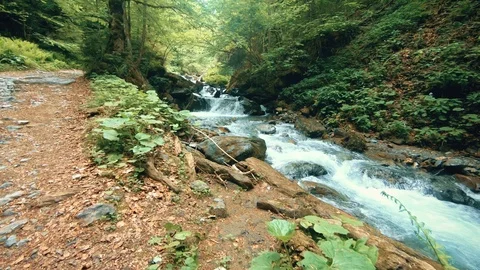 Raging mountain river Video stock 95230192