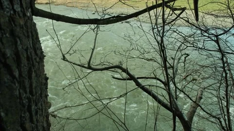 Raging mountain river. Full mountain river. The water is seething on the river Stock Footage 264061917