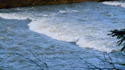 Raging mountain river. Full mountain river. The water is seething on the river Stock Footage 264061987