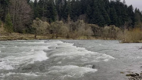 Raging mountain river. Full mountain river. The water is seething on the river Stock Footage 267875619