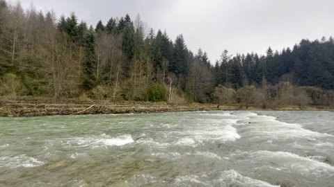 Raging mountain river. Full mountain river. The water is seething on the river Stock Footage 267876966