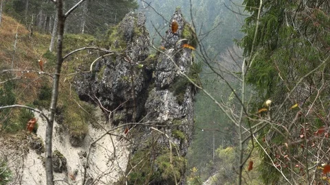 Raging mountain river slow motion Stock Footage 98004067