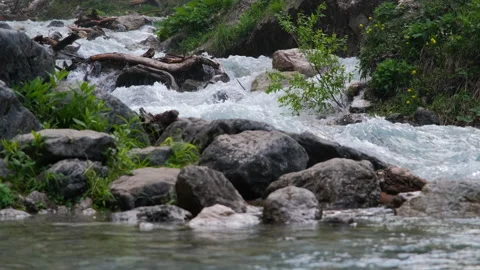 Raging Mountain River in Summer Forest 動画素材 156755003