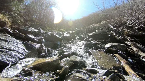 Raging mountain stream Video stock 95239885