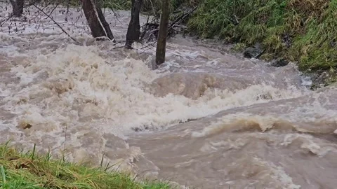 Raging muddy river water flooding the banks Stock Footage 340557536