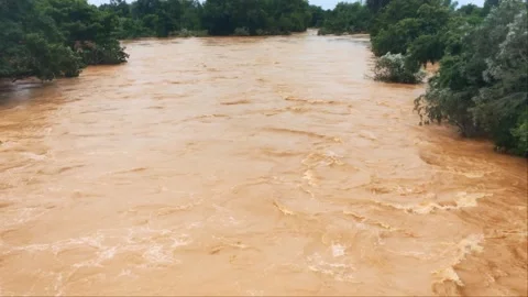 Raging Muddy Water Rapid Current During Severe Flash Flood Stock Footage 343774992